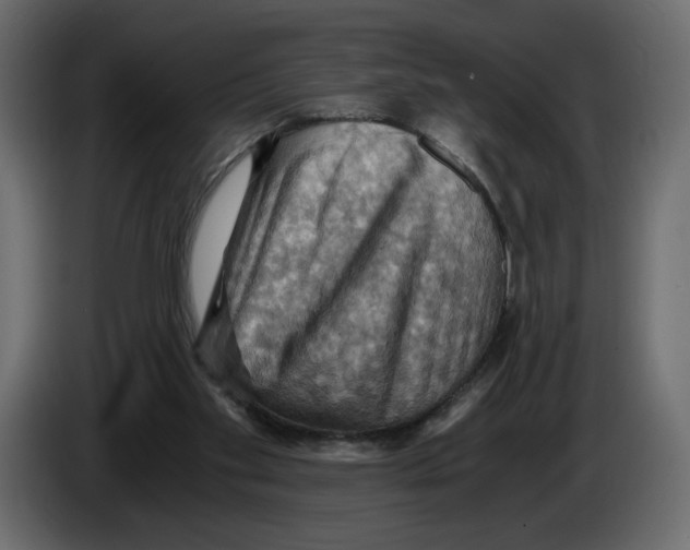 X0000084530109200703231701