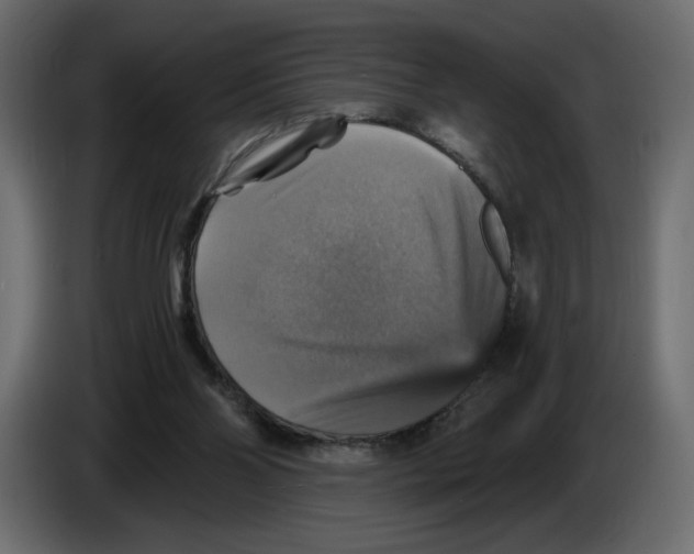 X0000084530110200703231701