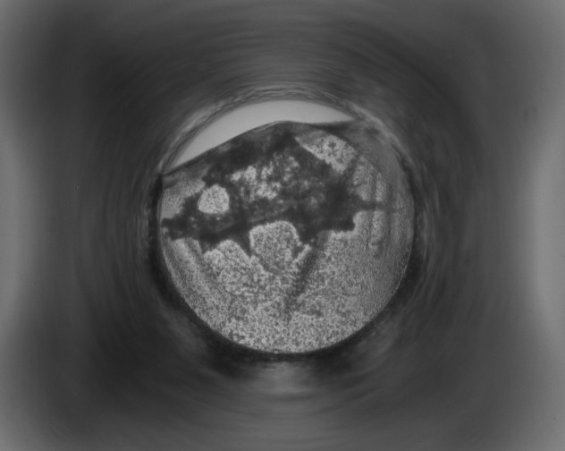 X0000084530111200703231701