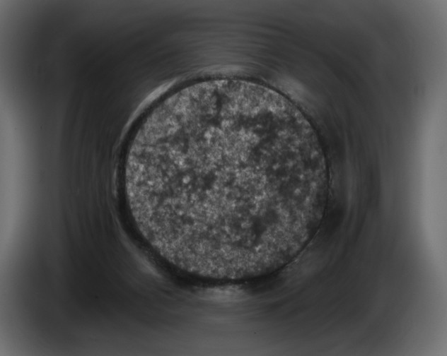 X0000084530112200703231701