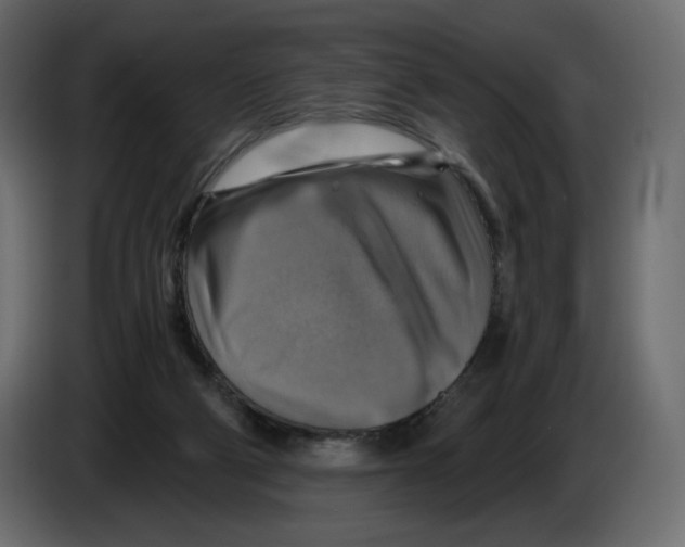 X0000084530114200703231701