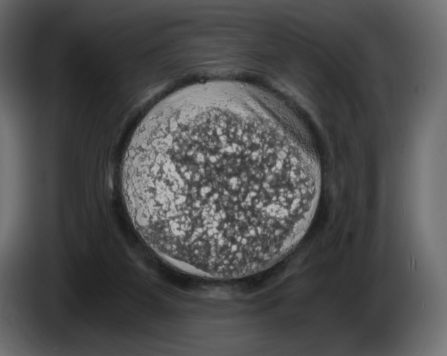 X0000084530115200703231701