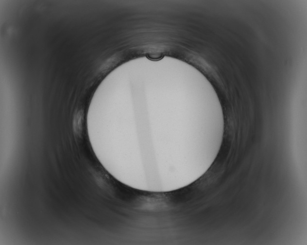 X0000084530118200703231701