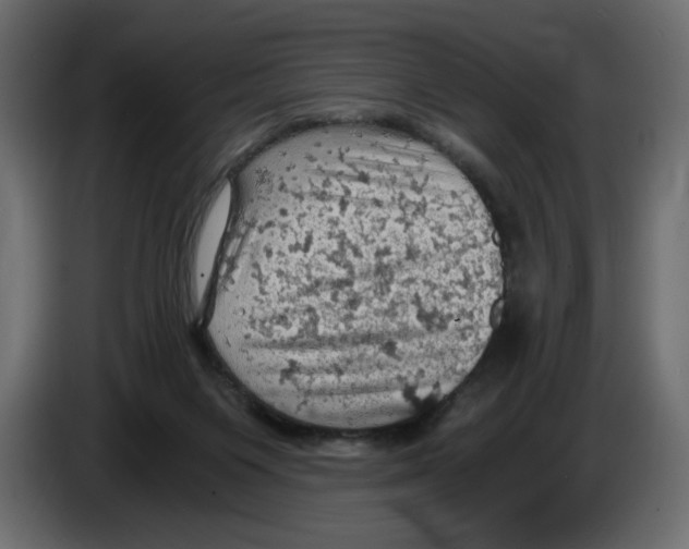 X0000084530119200703231701