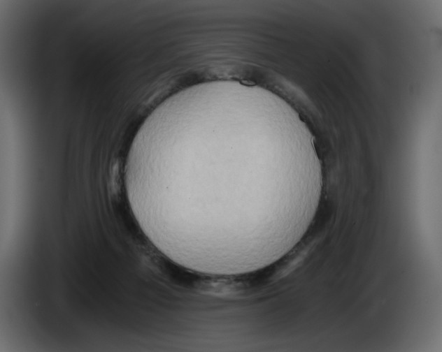 X0000084530121200703231701