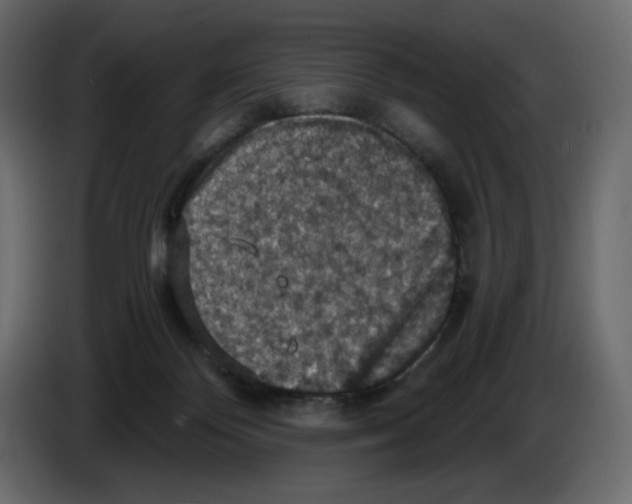X0000084530124200703231701