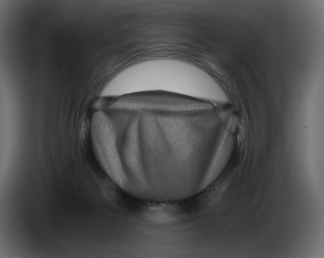 X0000084530125200703231701