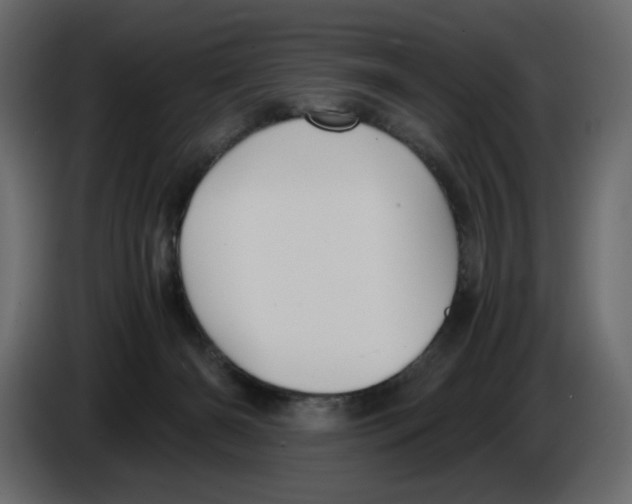 X0000084530126200703231701