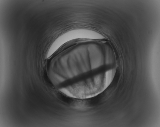 X0000084530127200703231701