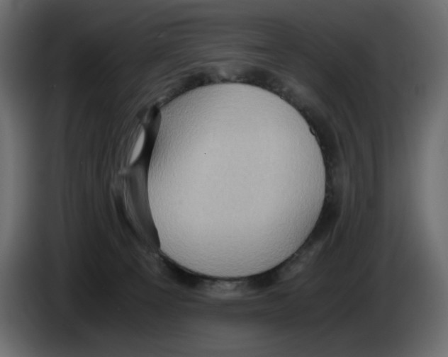X0000084530129200703231701