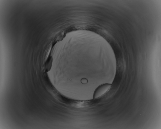 X0000084530130200703231701