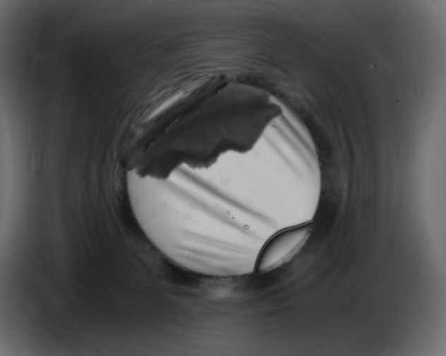 X0000084530131200703231701