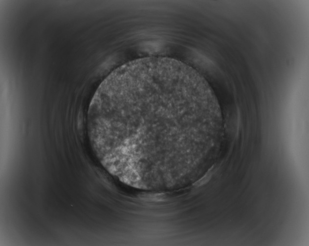 X0000084530132200703231701