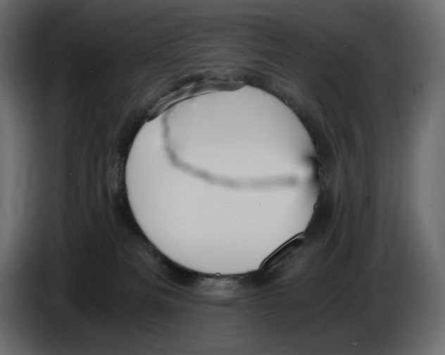 X0000084530133200703231701
