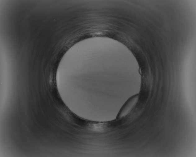 X0000084530134200703231701