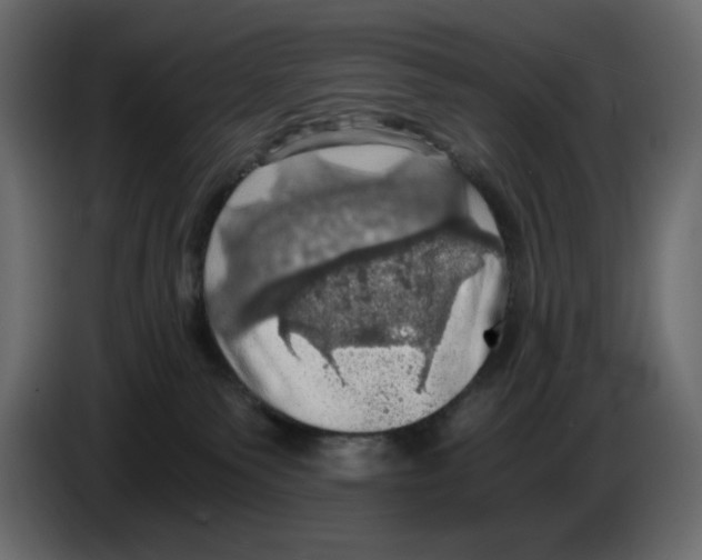 X0000084530135200703231701