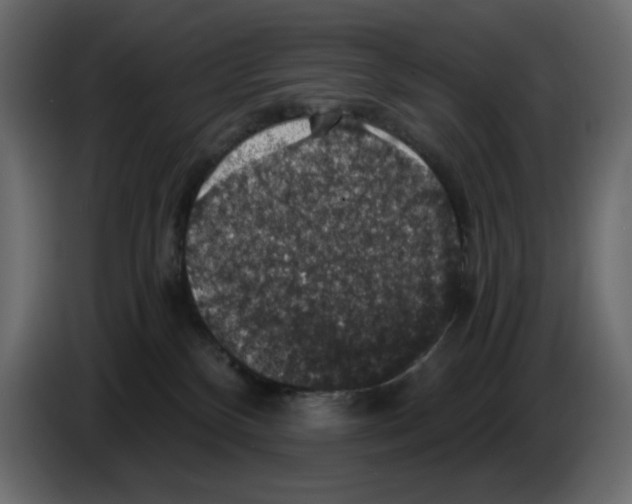 X0000084530136200703231700