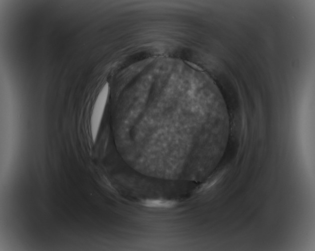 X0000084530137200703231700