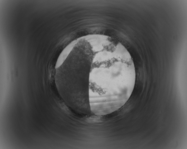 X0000084530138200703231700