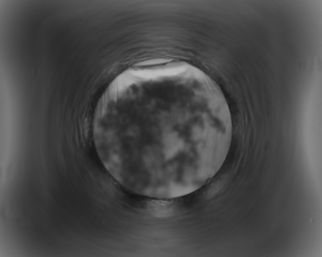 X0000084530139200703231700