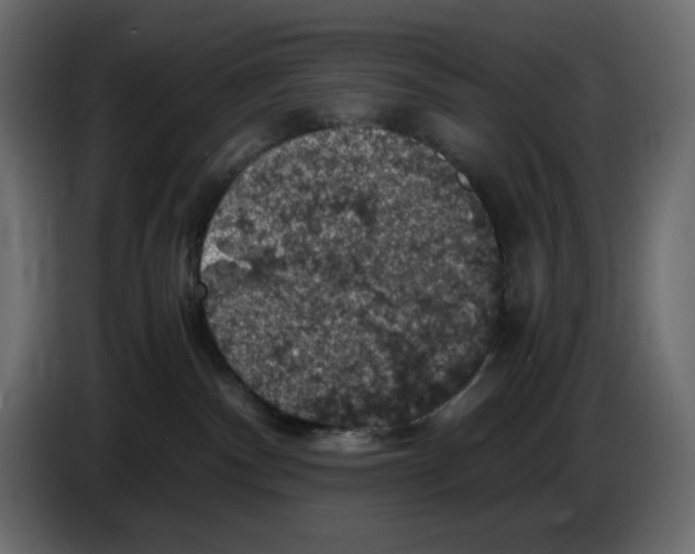 X0000084530140200703231700