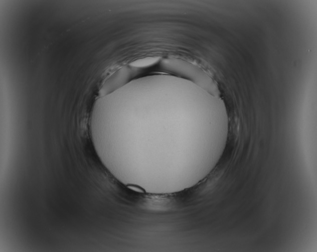 X0000084530141200703231700