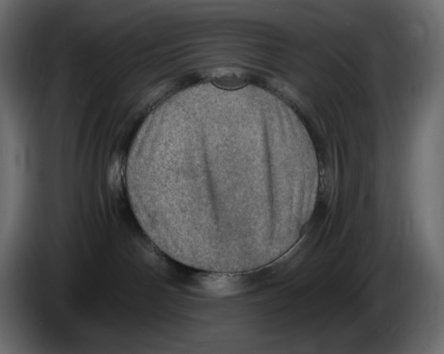 X0000084530142200703231700