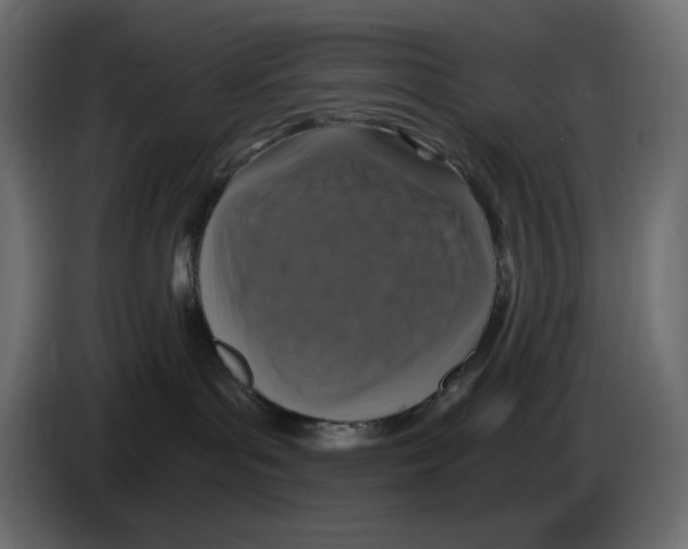 X0000084530143200703231700