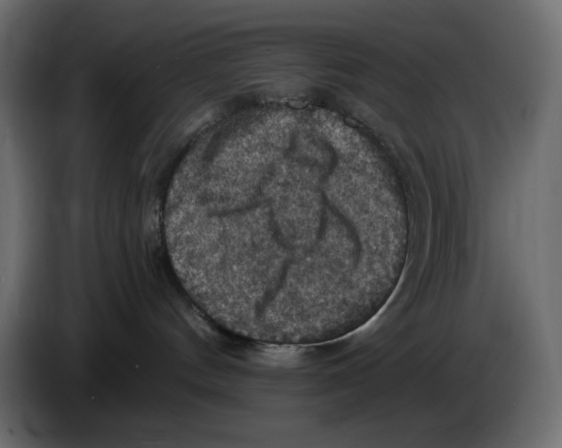 X0000084530144200703231700