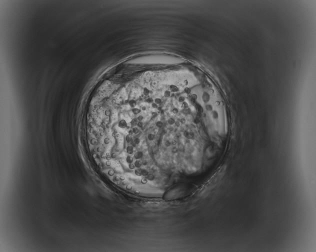 X0000084530145200703231700