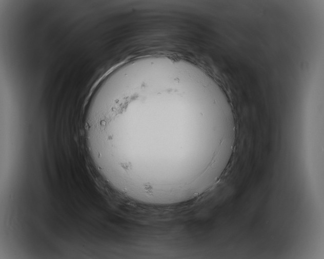 X0000084530146200703231700