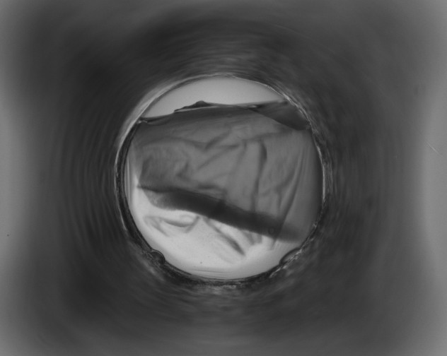 X0000084530147200703231700