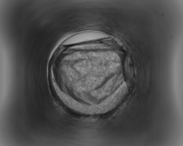 X0000084530148200703231700