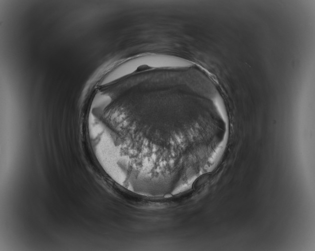 X0000084530149200703231700