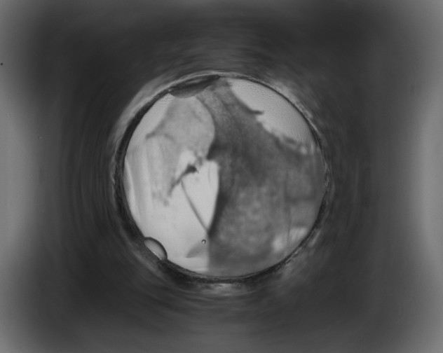 X0000084530151200703231700