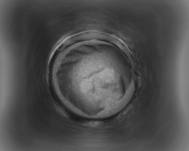 X0000084530152200703231700