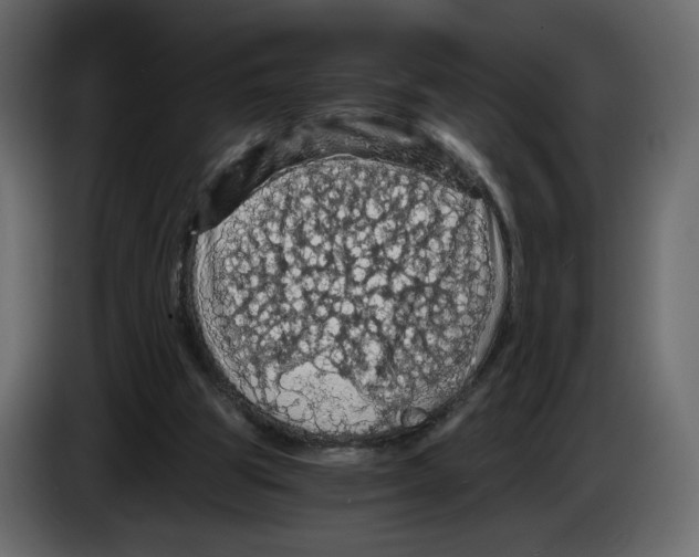 X0000084530153200703231700