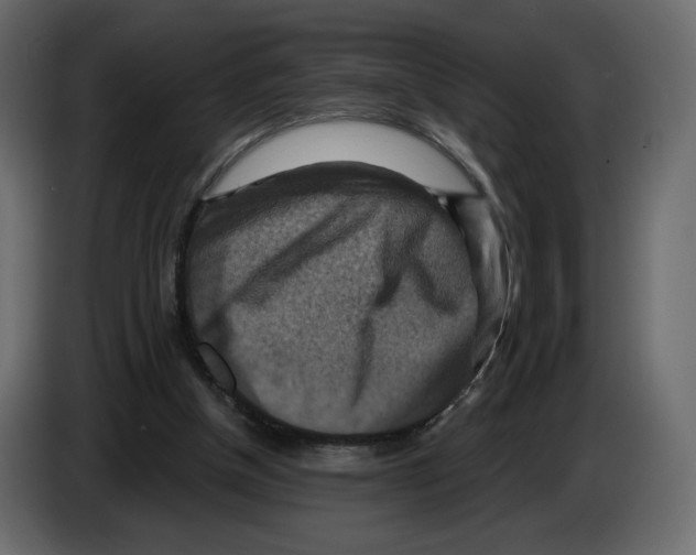 X0000084530154200703231700