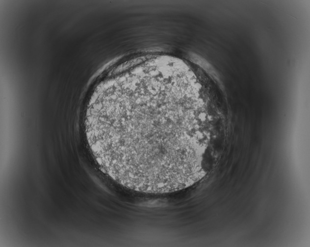 X0000084530155200703231700