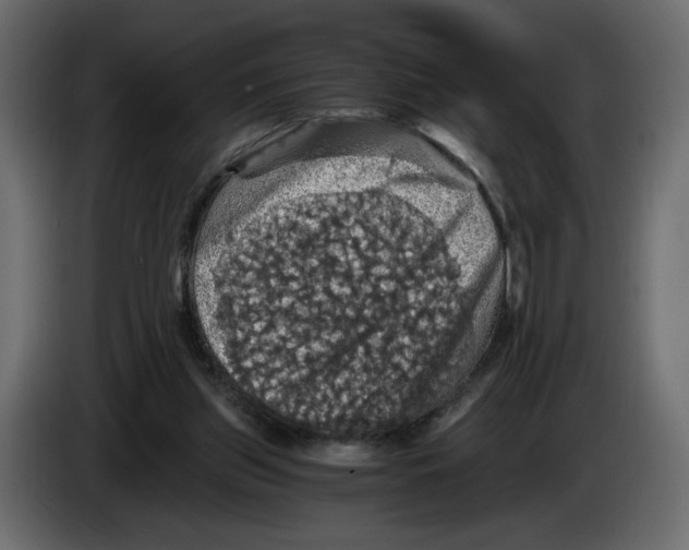 X0000084530157200703231700