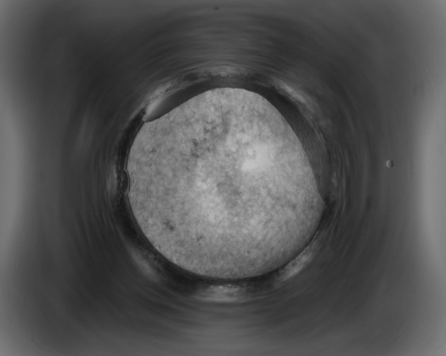 X0000084530158200703231700