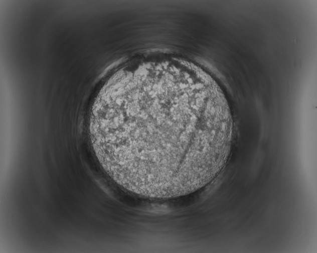 X0000084530159200703231700