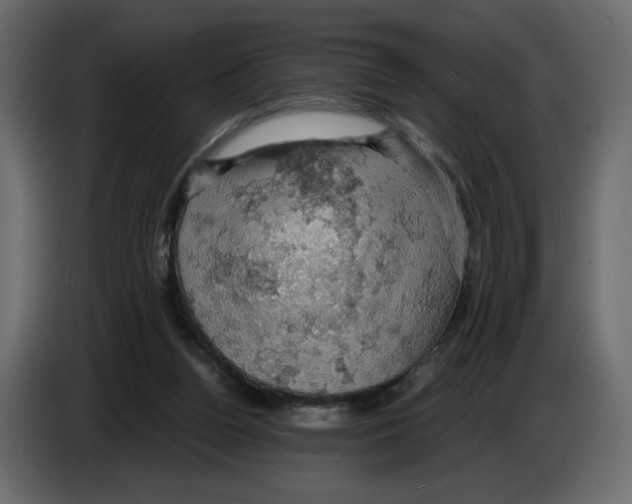 X0000084530160200703231700