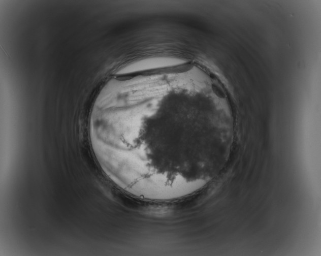 X0000084530161200703231700