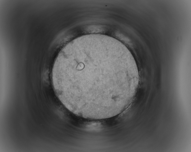 X0000084530162200703231700