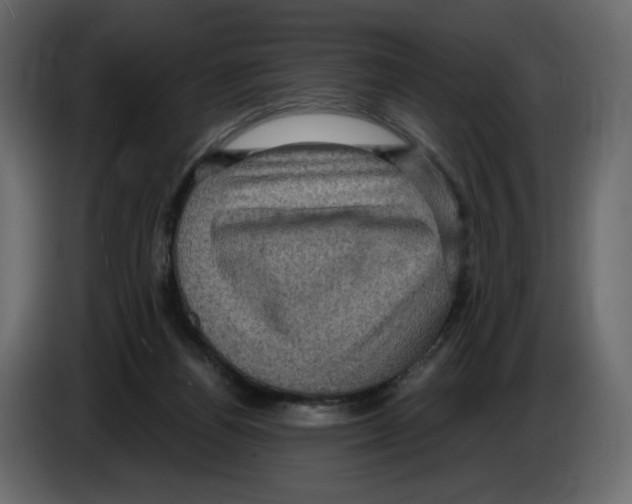 X0000084530164200703231700