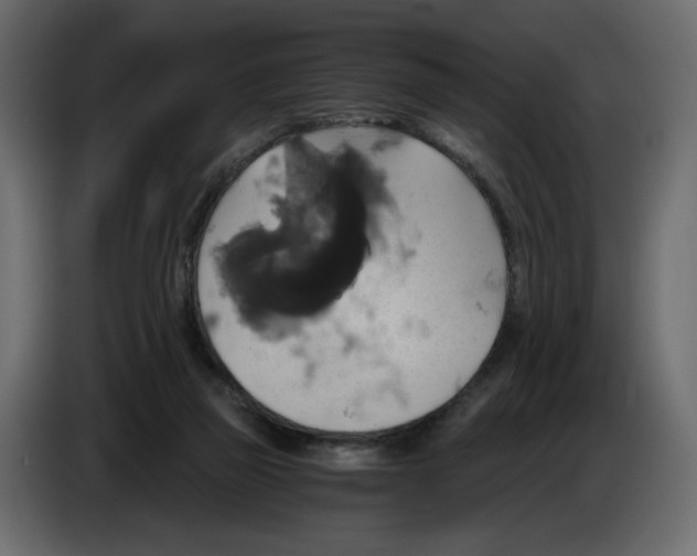 X0000084530165200703231700
