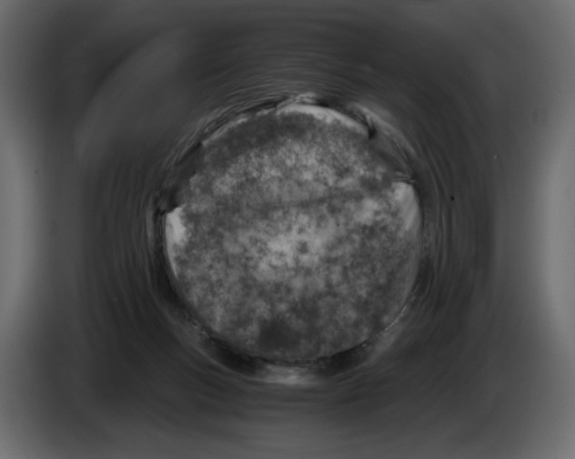 X0000084530167200703231700