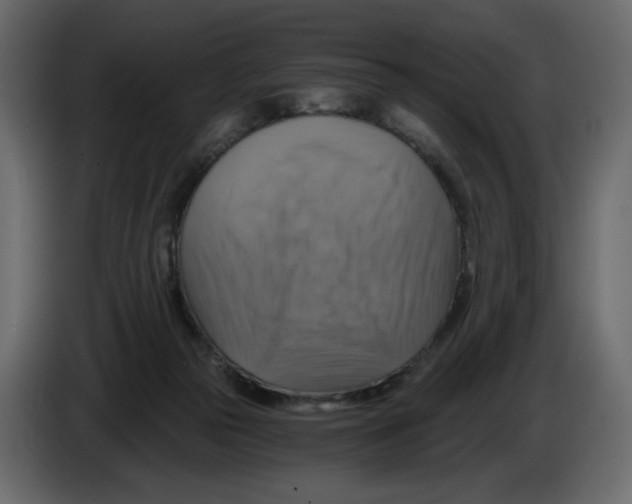 X0000084530169200703231700