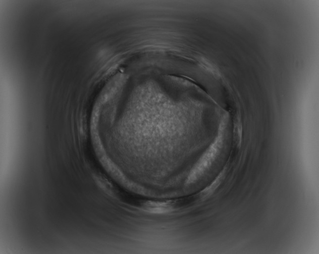X0000084530170200703231700